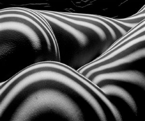 Image description is not available for 2011.041